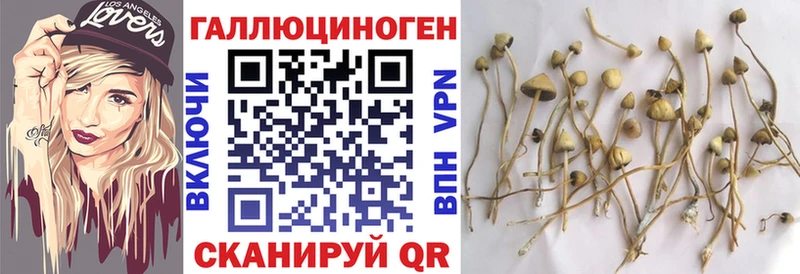 Псилоцибиновые грибы мицелий  Купить закладки  Дигора 